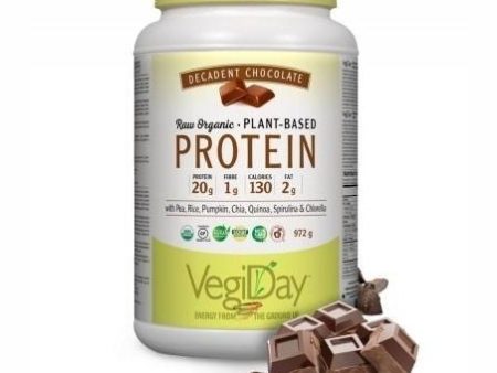 Vegiday - raw organic plant-based protein : decadent chocolate - 1.11 kg on Sale