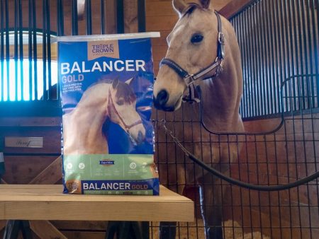 Triple Crown Balancer Gold Horse Feed Hot on Sale