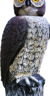 Rotating Owl Head Online