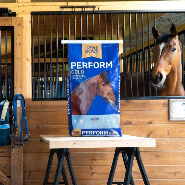 Triple Crown Perform Gold Horse Feed For Sale