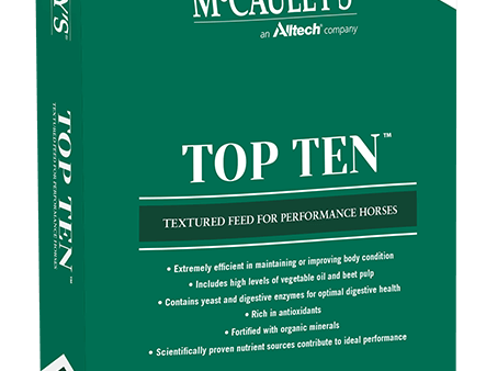 McCauley s Top Ten Horse Feed Cheap