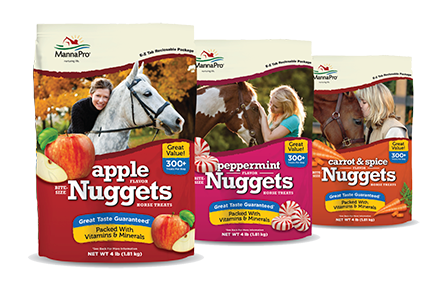 Bite Size Nugget Horse Treat Sale