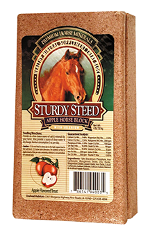 Sturdy Steed Mineral Brick 4lb Fashion