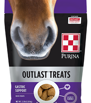 Purina Outlast Horse Treats on Sale