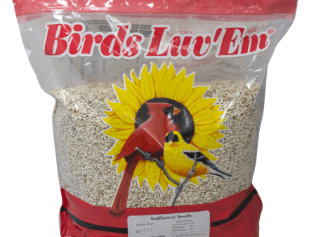 Safflower Seed Wild Bird Food Sale