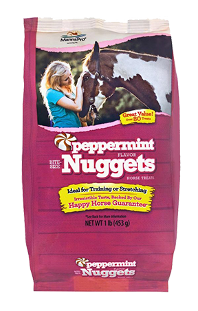 Bite Size Nugget Horse Treat Sale