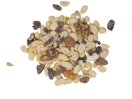 The Mill Woodpecker Blend Bird Seed Hot on Sale