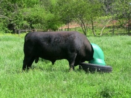 AmeriAg Livestock Cattle Mineral Feeder Hot on Sale