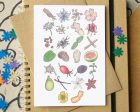 Gin Botanicals Alphabet Card Cheap