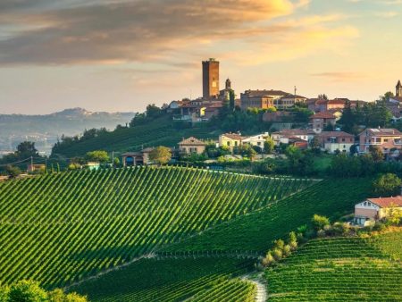 Barbaresco Tasting with Mark Perna - Friday 21st March 7:15-8:45pm For Discount